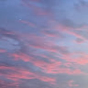 Meet your Posher, Trisha